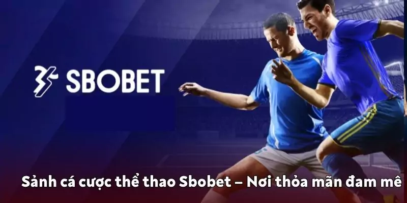 Sảnh cá cược thể thao Sbobet tại K9win – Nơi thỏa mãn đam mê sảnh cá cược thể thao Sbobet